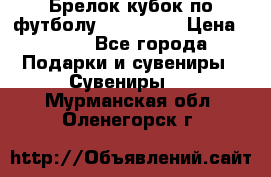 Брелок кубок по футболу Fifa 2018 › Цена ­ 399 - Все города Подарки и сувениры » Сувениры   . Мурманская обл.,Оленегорск г.